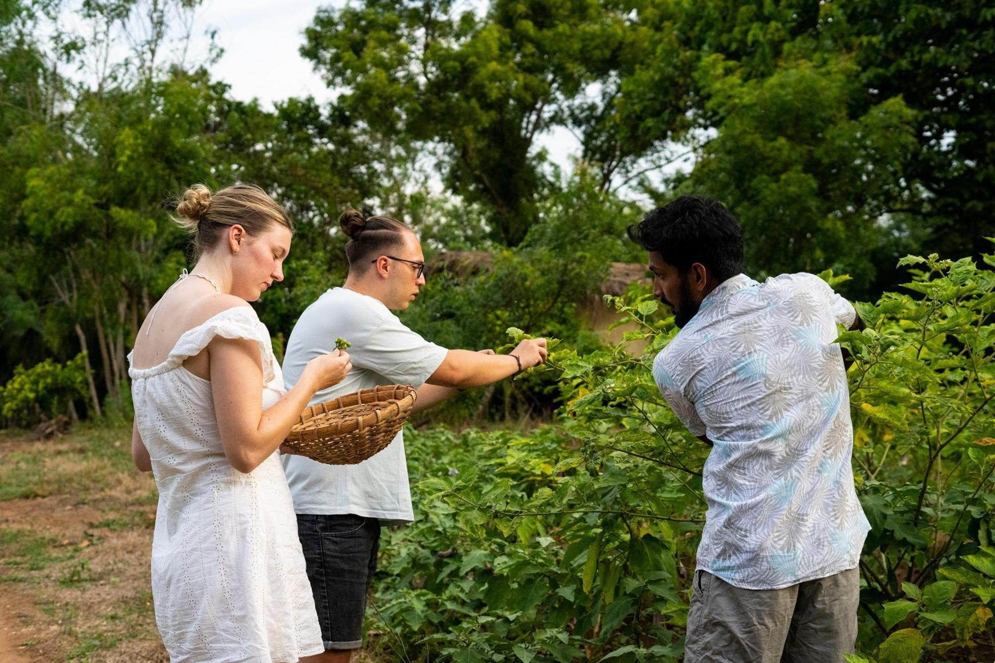 River Paradise Safari House With Cooking Class Udawalawe Exteriér fotografie